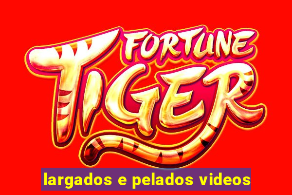 largados e pelados videos